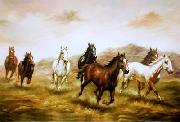 unknow artist Horses 03 USA oil painting artist